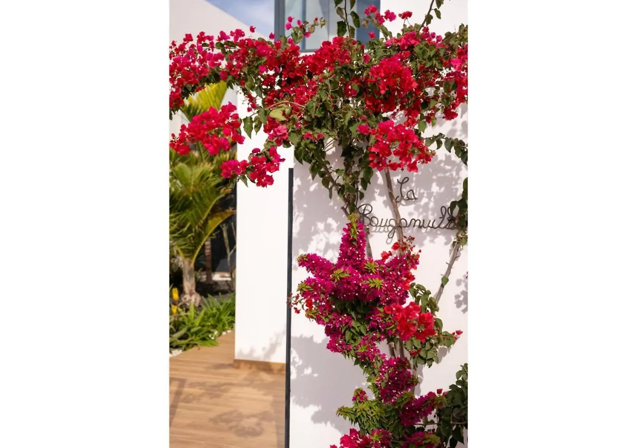 Casa Bouganvillea Lajares Spain