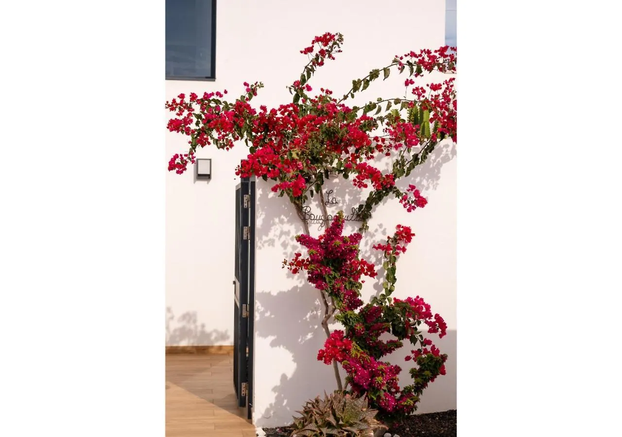 לאחארס Casa Bouganvillea 0*,