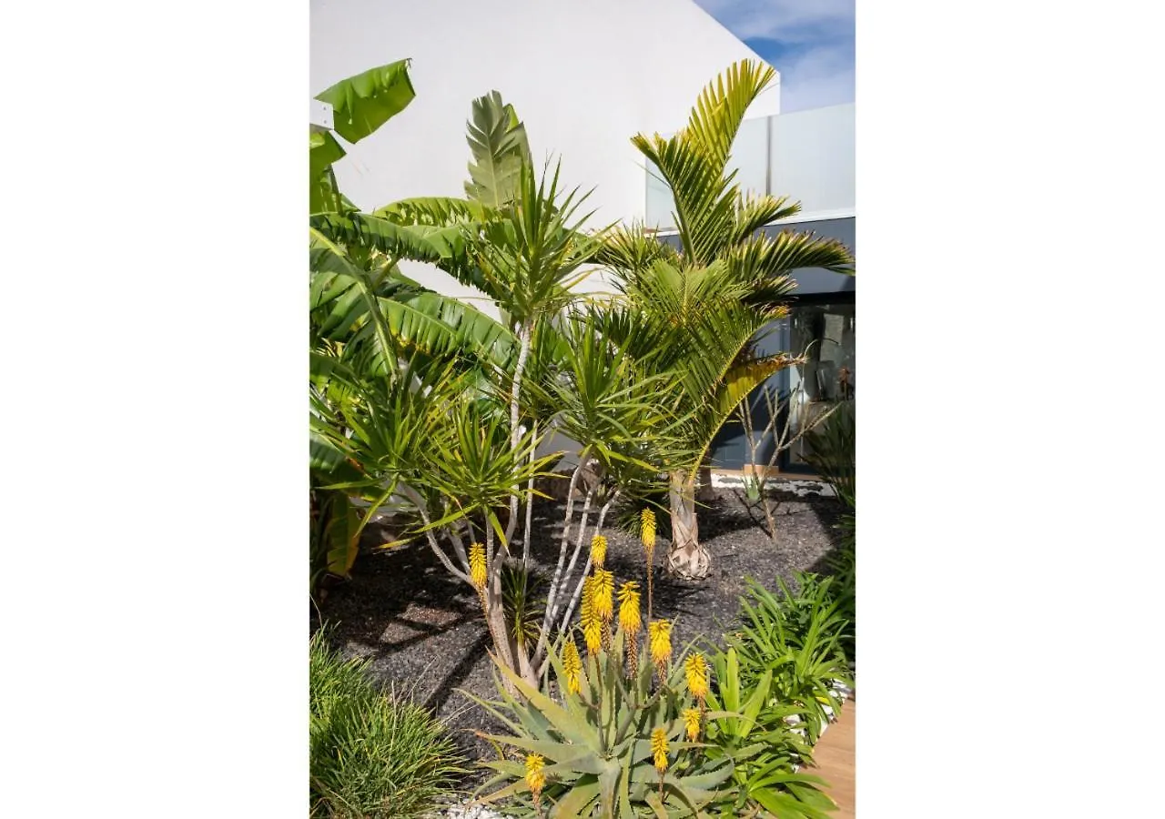 לאחארס Casa Bouganvillea 0*,  ספרד