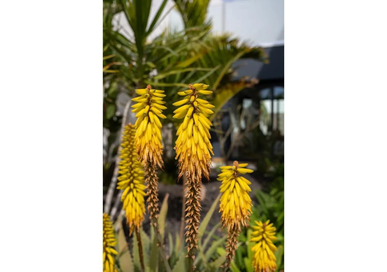 לאחארס Casa Bouganvillea ספרד