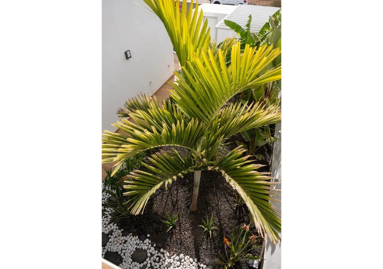 לאחארס Casa Bouganvillea